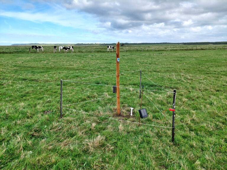 KI-Nationalpark startet mit Unterstützung Freiburger Forscher