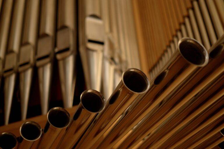 „Winds With Fingers“: Seltene Orgelmusik in Freiburg