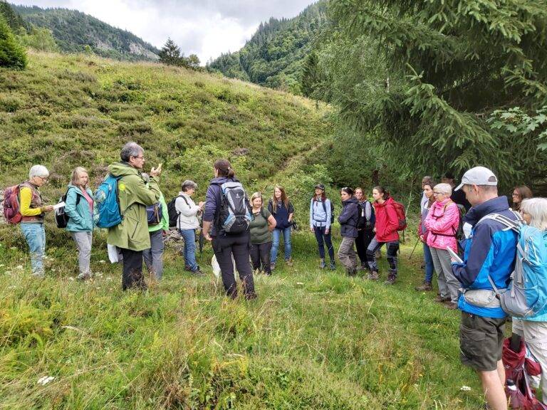 Biosphären-Guide Schwarzwald: Neue Weiterbildung startet ab März
