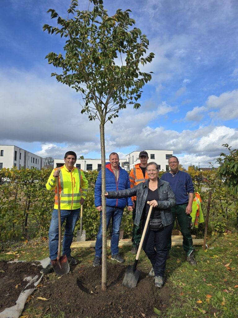 Weil am Rhein pflanzte 30 neue Bäume im Stadtgebiet