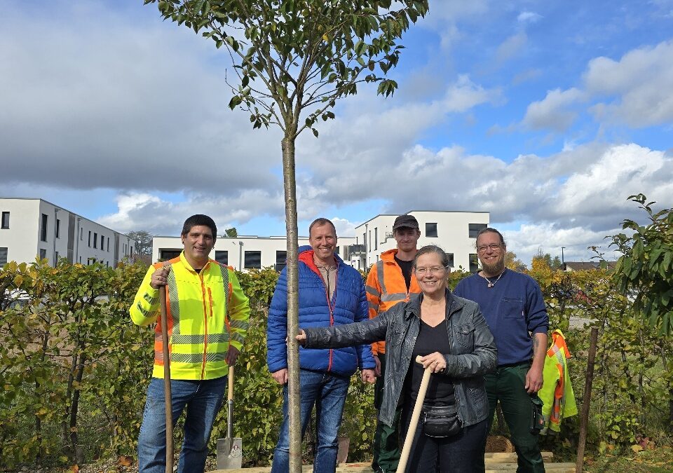 Weil am Rhein pflanzte 30 neue Bäume im Stadtgebiet