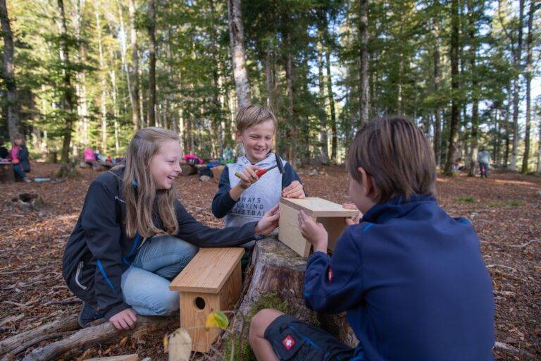 Naturpark-Schulen im Südschwarzwald erneut ausgezeichnet