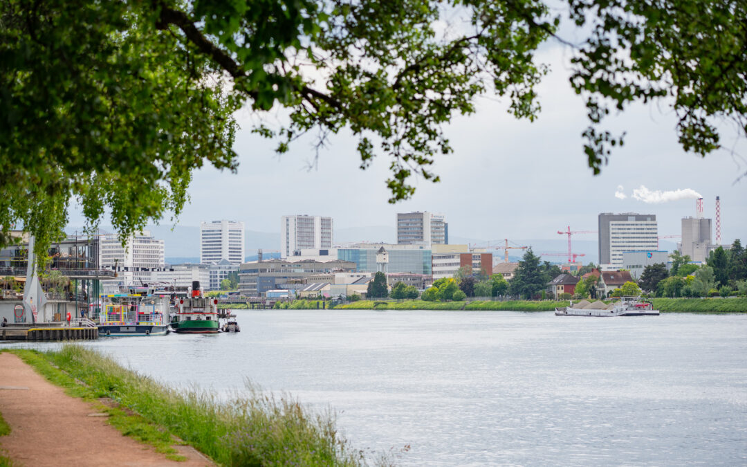 Neue Rheinbrücke im 3Land geht in nächste Planungsphase