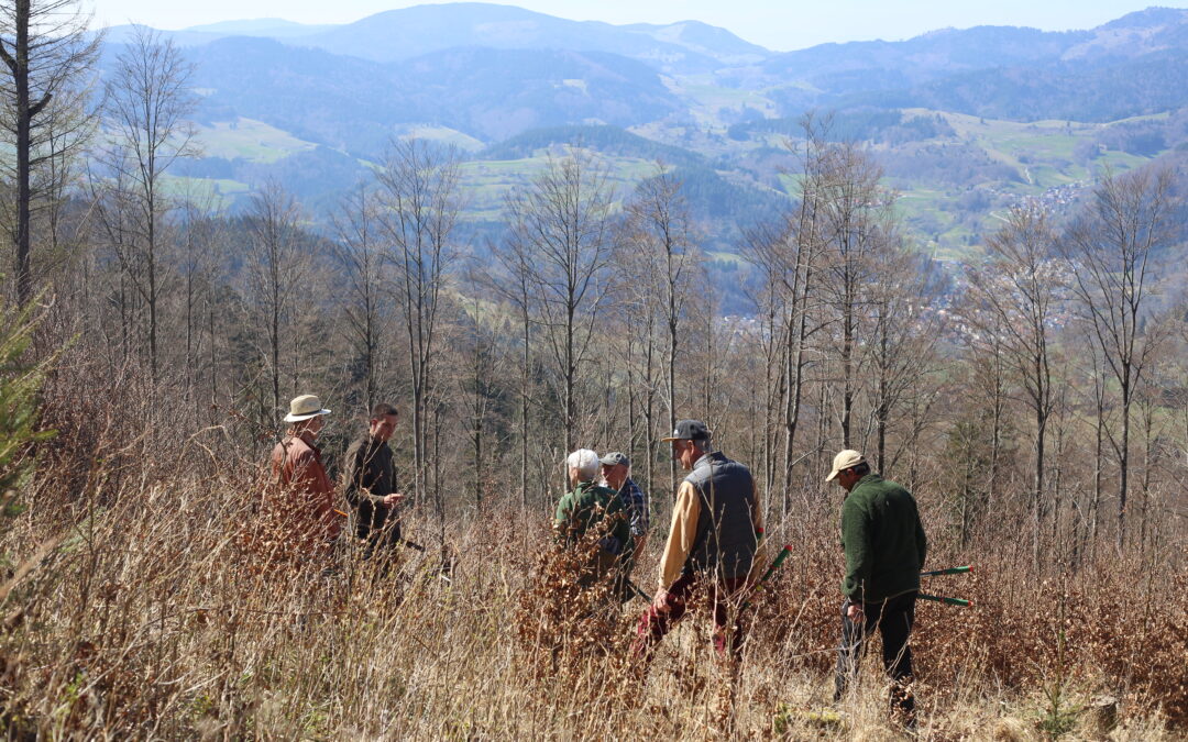Forum Landnutzung im Biosphärengebiet Schwarzwald startet
