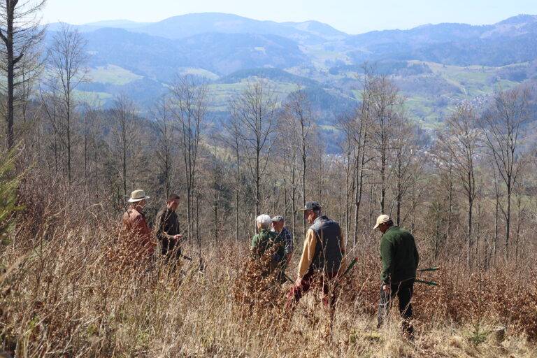 Forum Landnutzung im Biosphärengebiet Schwarzwald startet