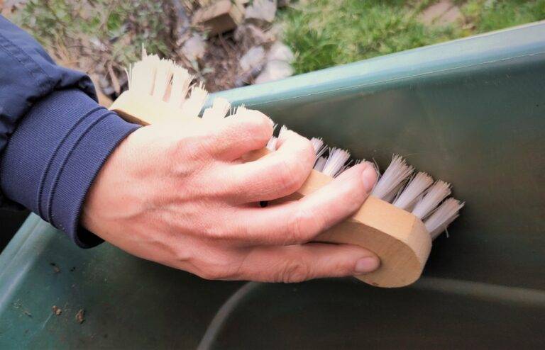 Tigermücke: Weil am Rhein setzt auf Bekämpfungsmaßnahmen im Herbst