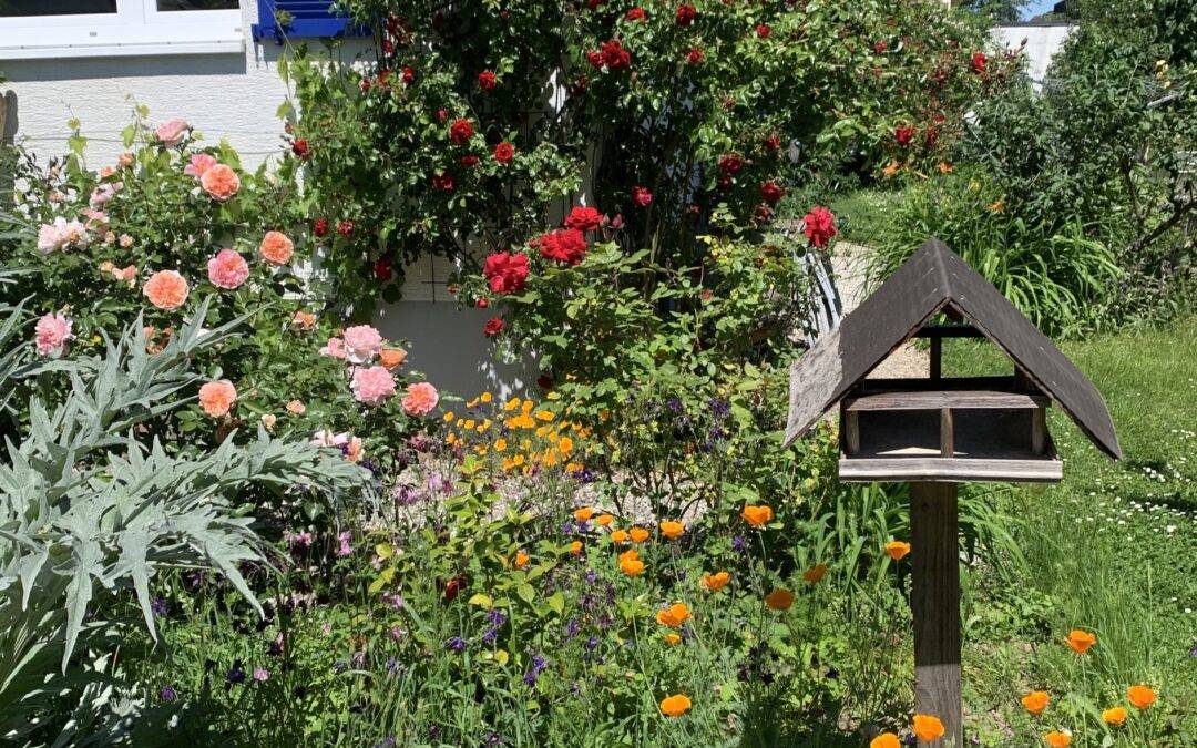 Denzlingen prämiert Naturgärten für mehr Artenvielfalt