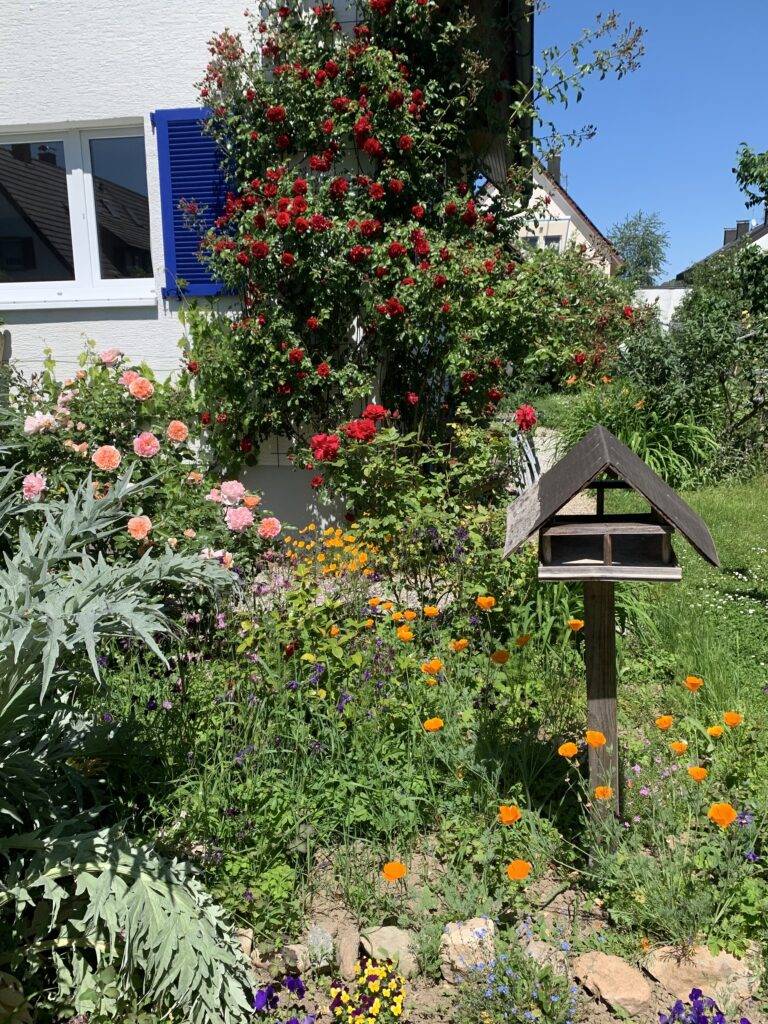 Denzlingen prämiert Naturgärten für mehr Artenvielfalt