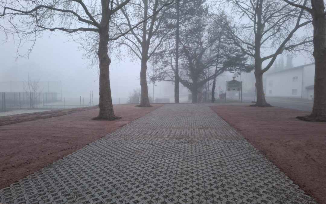 Parkplatz am Sportfeld Emmendingen ist grüner geworden
