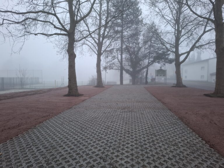 Parkplatz am Sportfeld Emmendingen ist grüner geworden