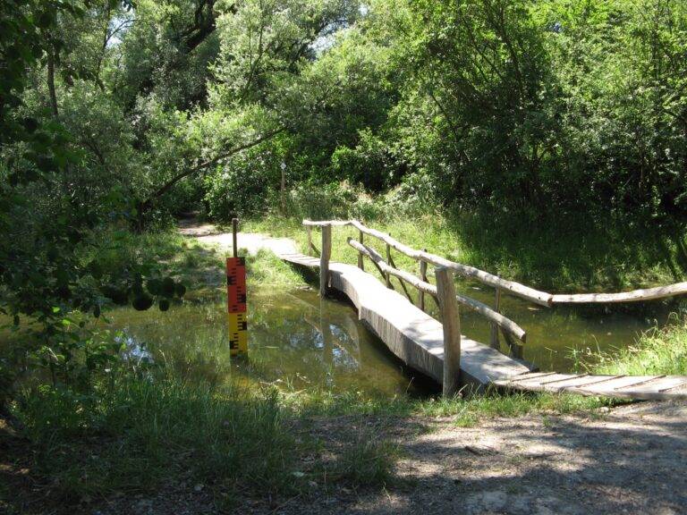 Hochwasserschutz Wyhl/Weisweil: Regierungspräsidium reagiert auf Kritik