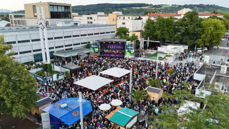 Vereine für 3-Länder-Stadt Festival in Weil am Rhein gesucht