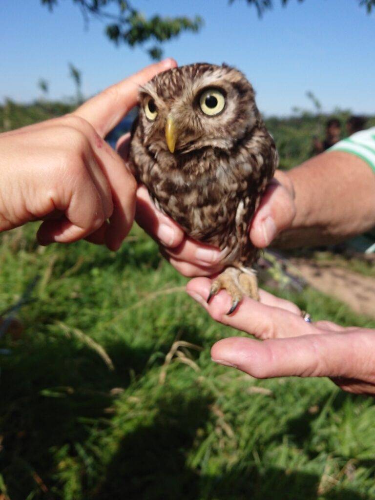 Wittlingen tritt Landschaftserhaltungsverband bei
