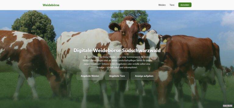 Neue Weidebörse im Südschwarzwald für Weideflächen & Weidetiere