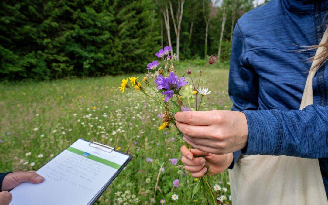 160.000 Euro für Projekte im Naturpark Südschwarzwald