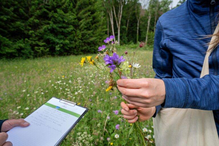 160.000 Euro für Projekte im Naturpark Südschwarzwald