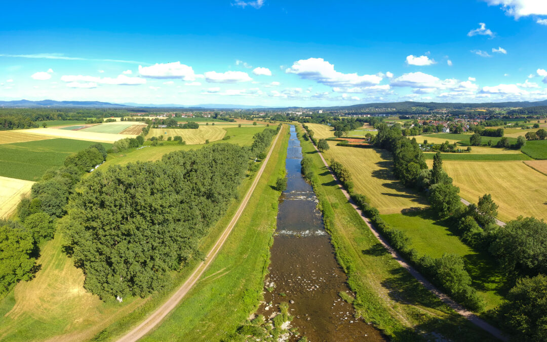 Elz bei Emmendingen: Dammrückverlegung startet Anfang April