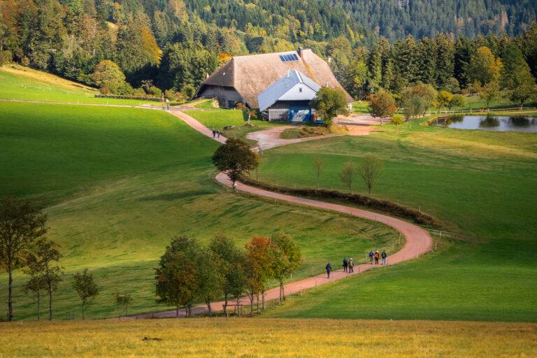 Hochschwarzwald erneut als Premium-Wanderregion ausgezeichnet