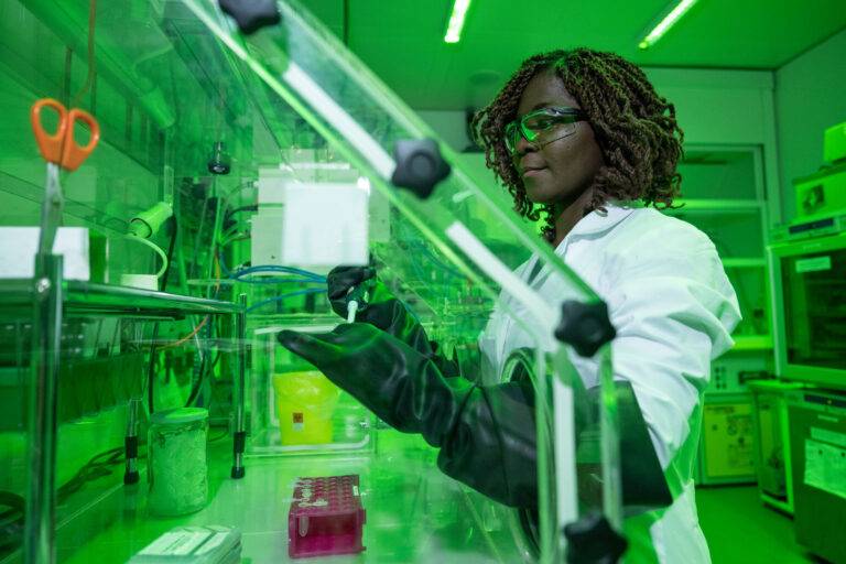 Professorinnenprogramm bringt Universität Freiburg Millionenförderung