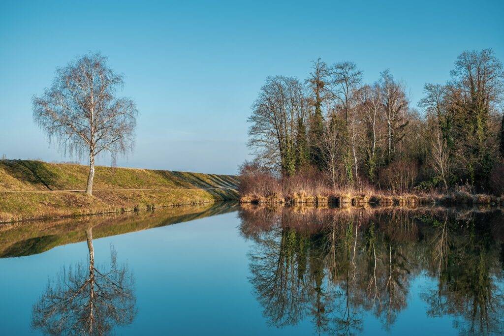 Hochwasserschutz: Tag der offenen Baustelle im Rheinwald bei Sasbach