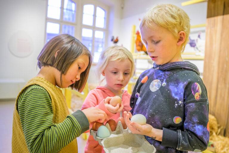 Freiburg: Ausstellung „Vom Ei zum Küken“ feiert 35 Jahre