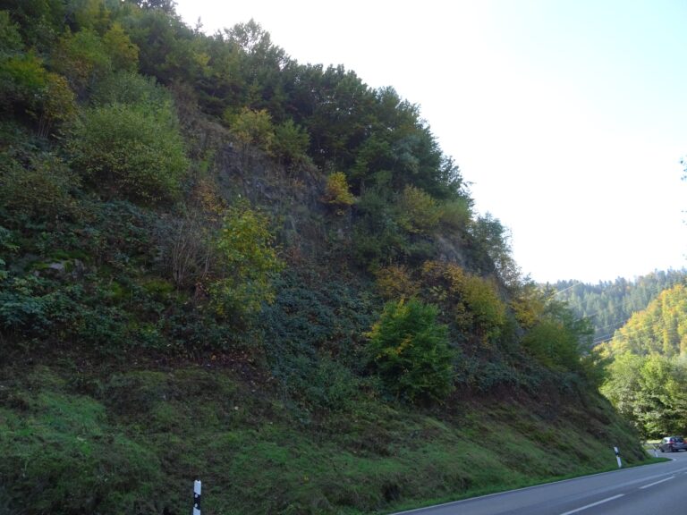 Felssicherung an der B317 zwischen Hausen und Zell im Wiesental startet