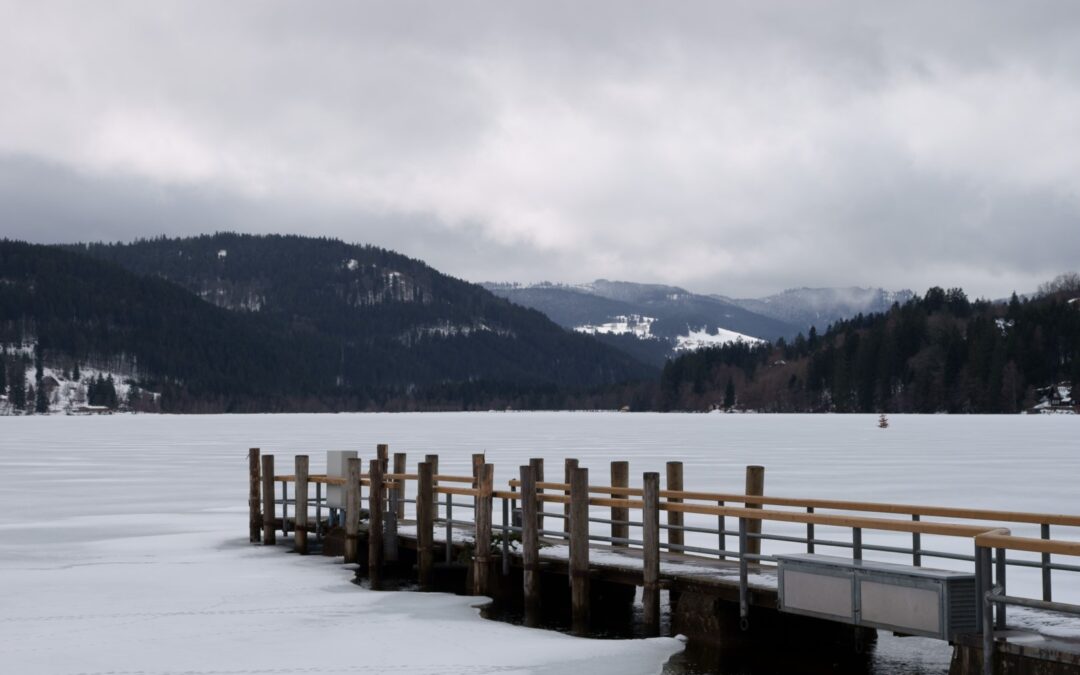 Weltgästeführertag 2026 im Naturpark Südschwarzwald mit kostenlosen Touren