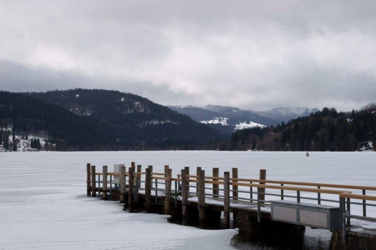 Weltgästeführertag 2026 im Naturpark Südschwarzwald mit kostenlosen Touren
