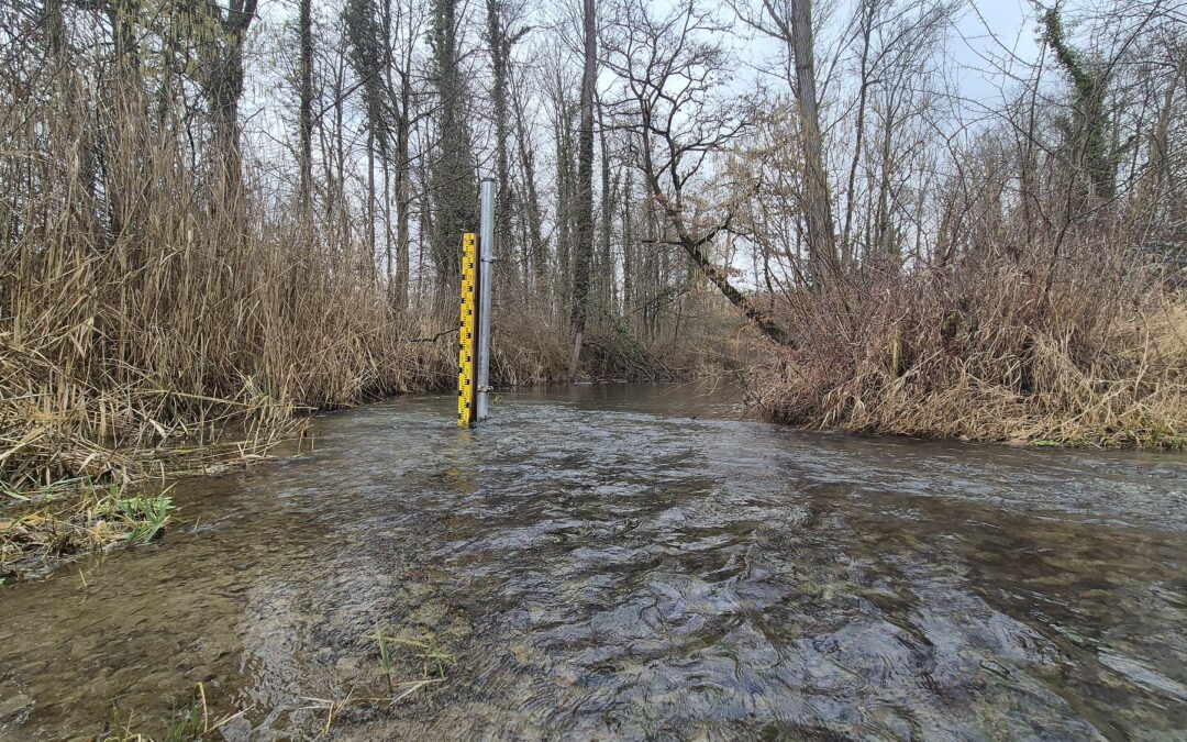 Erster Schlutentest im Rückhalteraum Breisach/Burkheim