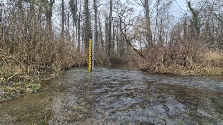 Erster Schlutentest im Rückhalteraum Breisach/Burkheim