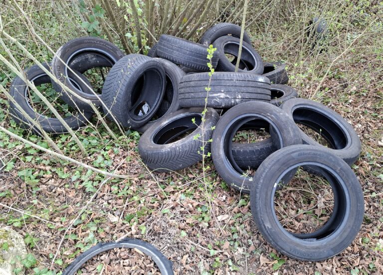 Emmendingen-Mundingen: Altreifen in Reben illegal entsorgt