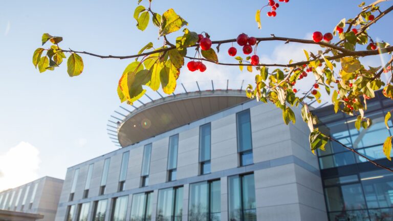 Uniklinik Freiburg erhält Preis für digitales Notfall-System