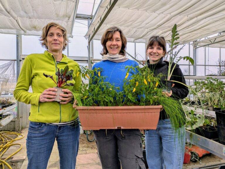 Setzlingsmarkt kehrt auf den Mundenhof Freiburg zurück am 10. Mai