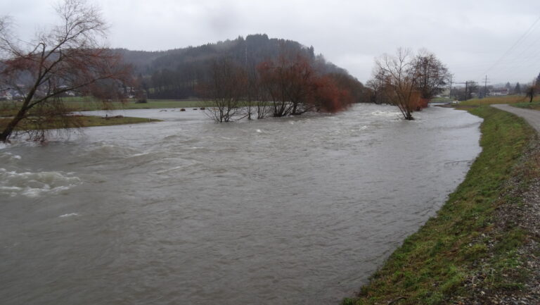 Der Wiesedamm bei Maulburg wird ab 13. April saniert
