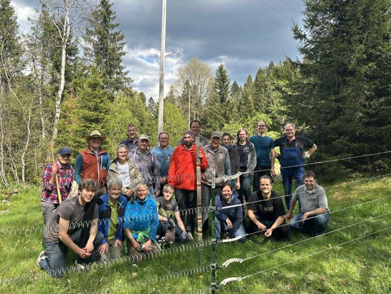 Lenzkirch & Elzach: Freiwillige für Herdenschutzeinsätze im Südschwarzwald gesucht