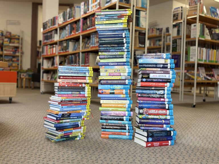 Medien-Flohmarkt in Waldkirch: Bücher für 1 Euro