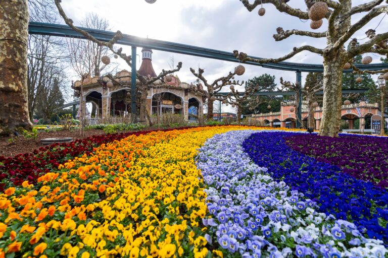 180.000 Blumen zum Saisonstart im Europa-Park Rust