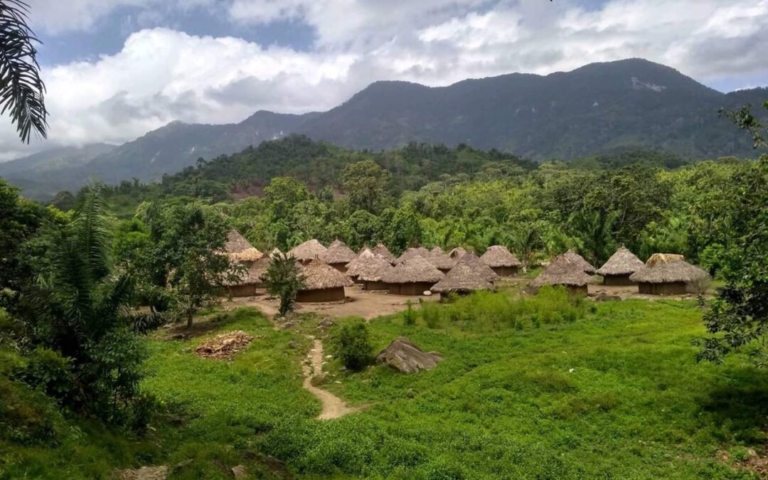 Wälder der Welt: Kolumbien im Waldhaus Freiburg