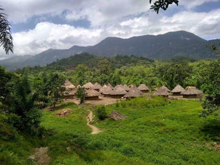 Wälder der Welt: Kolumbien im Waldhaus Freiburg