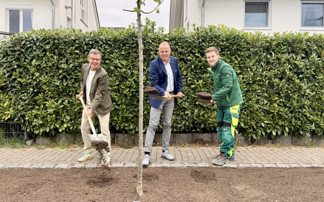 Three men stand on a sidewalk next to a hedge, planting a young tree with shovels and soilbags nearby, smiling at the camera.