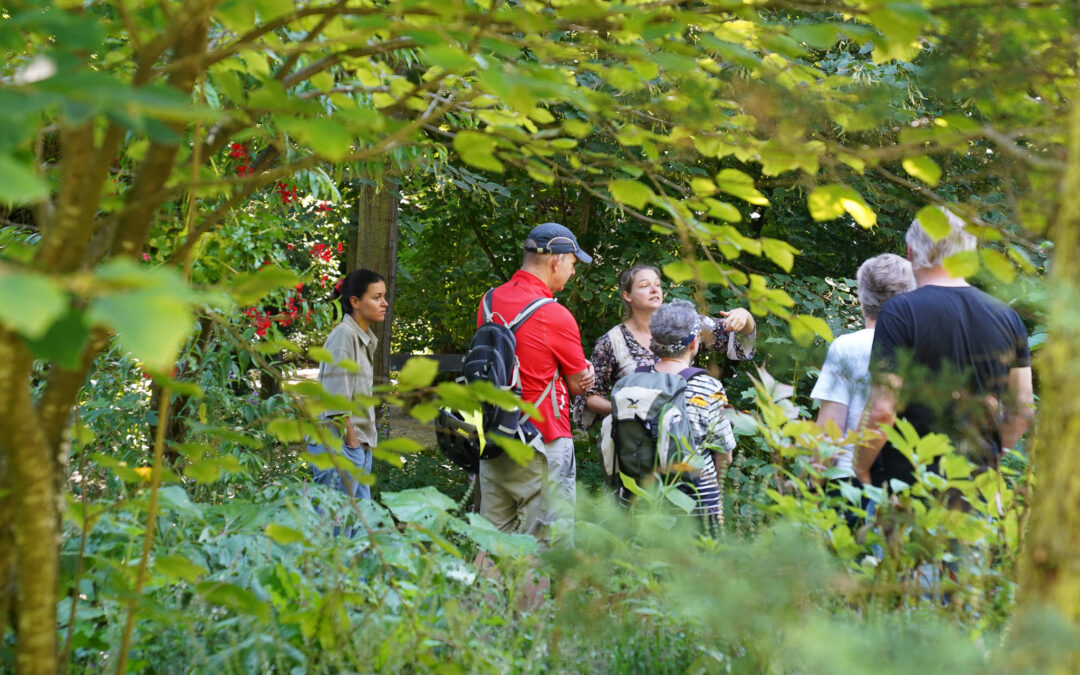 Führungen durch Kräutergarten in Bad Krozingen ab 7. Mai