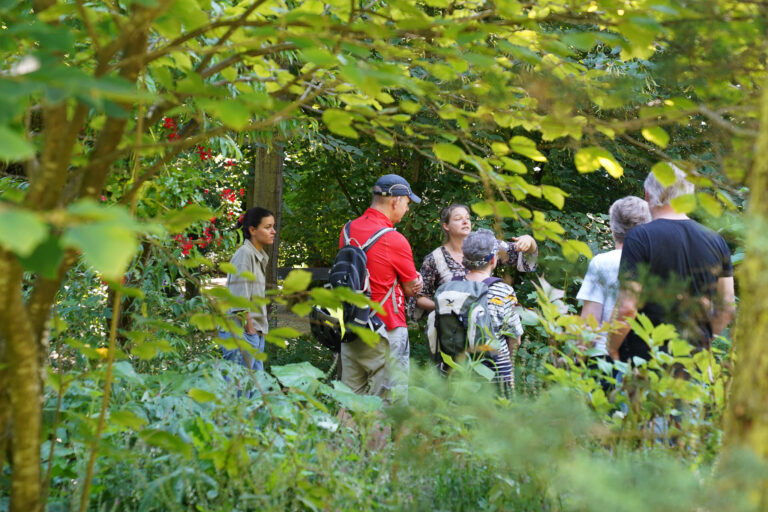 A group of adults paused on a leafy park path, chatting among trees with backpacks on.