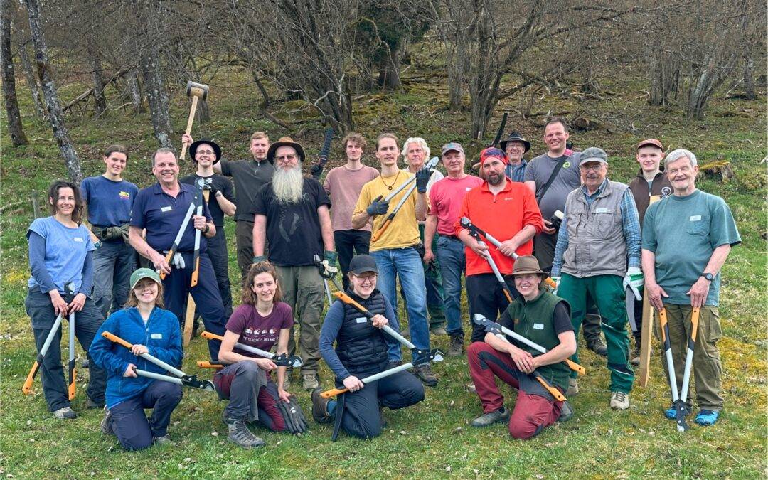 Group of people posing outdoors in a grassy clearing, holding pruning shears and saws as part of a volunteer tree‑work crew.