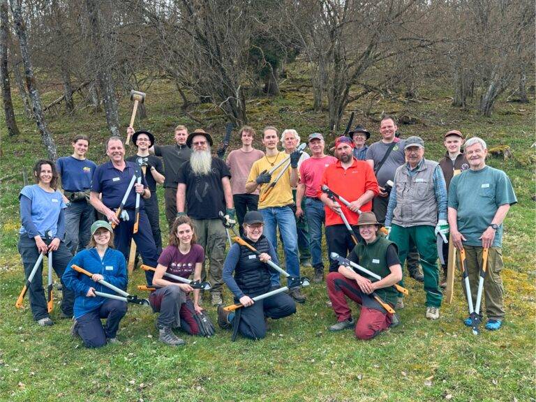 Group of people posing outdoors in a grassy clearing, holding pruning shears and saws as part of a volunteer tree‑work crew.