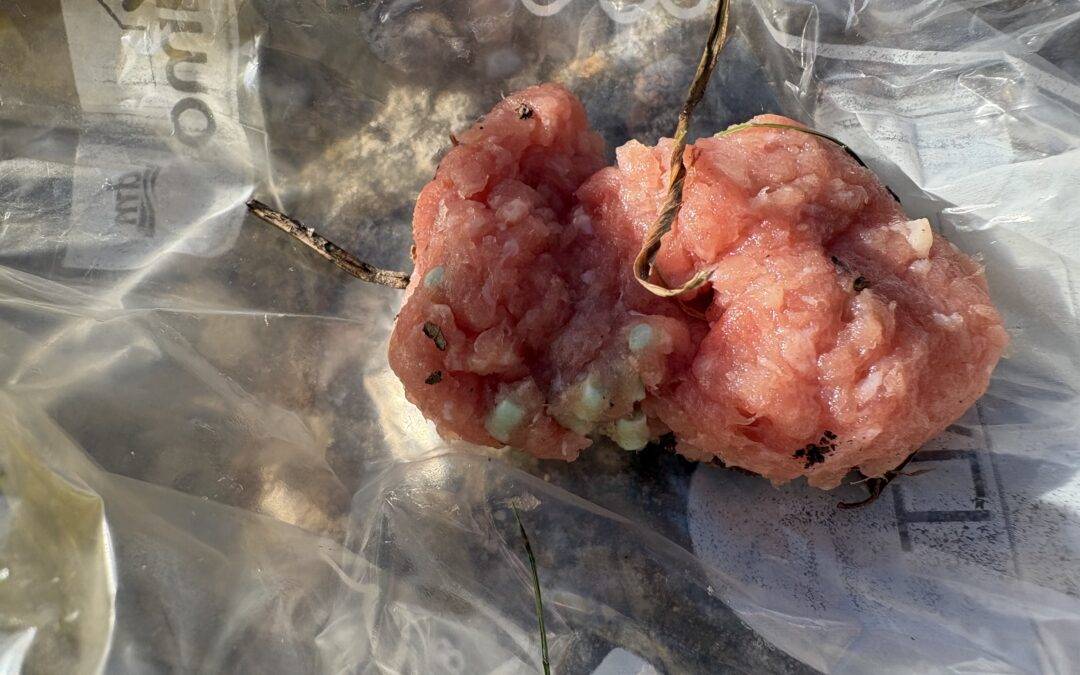 Close-up of raw pink meat pieces inside a clear plastic bag, with a thin dried stem/twine resting on top.