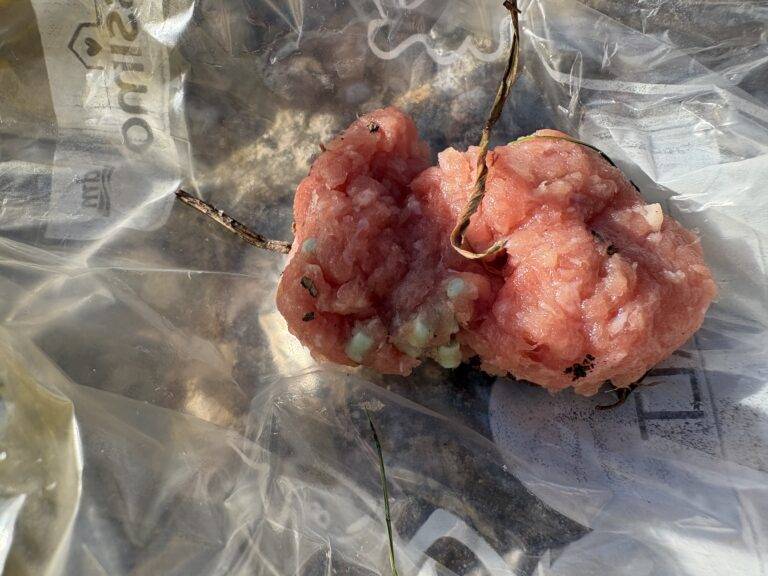 Close-up of raw pink meat pieces inside a clear plastic bag, with a thin dried stem/twine resting on top.