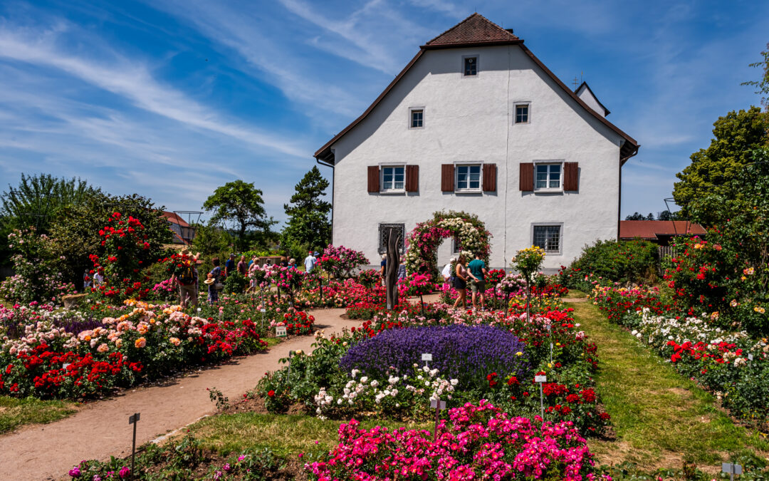 White house with brown shutters surrounded by a colorful rose garden and visitors strolling along a path under a blue sky.