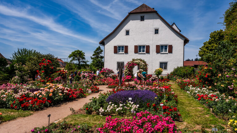 White house with brown shutters surrounded by a colorful rose garden and visitors strolling along a path under a blue sky.