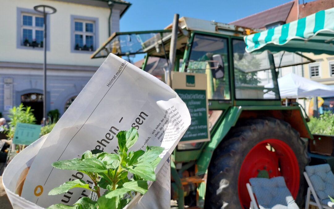 Herb seedling wrapped in newspaper held in a sunny street market; a green tractor is in the background.
