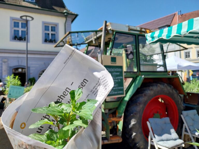 Herb seedling wrapped in newspaper held in a sunny street market; a green tractor is in the background.